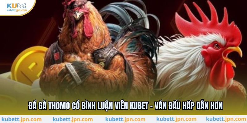 Đá Gà Thomo Có Bình Luận Viên KUBET - Ván Đấu Hấp Dẫn Hơn